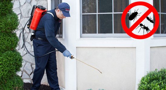 Beyağaç Hamam Böceği İlaçlama böcek ilaçlama ve haşere kontrolü — ilaclama-tr.com